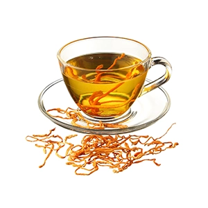 Đông trùng hạ thảo dạng trà